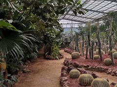 -呀路古热带植物园