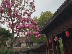 -檀园
