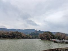 -天下玉苑