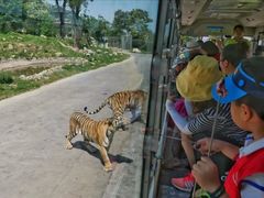 -西安秦岭野生动物园
