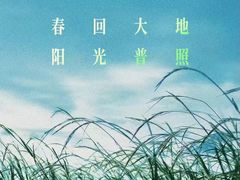 -万达影城(乐山万达广场IMAX店)