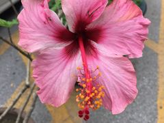 -江南大学附属医院(北院区)