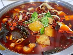 -晓彭肥肠鸡·泡椒鸡火锅(水木天地店)