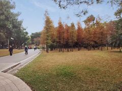 -晓港公园