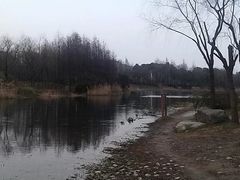 -新江湾城公园