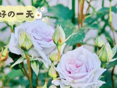 -前小桔亲子创意农场·草莓采摘·露营烧烤