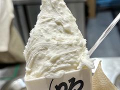-野人先生Gelato(上海长宁龙之梦店)