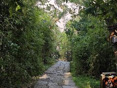 -江心屿景区