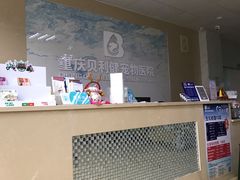 -宠颐生贝利健动物医院(谢家湾分院)