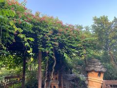 -长鹿旅游休博园
