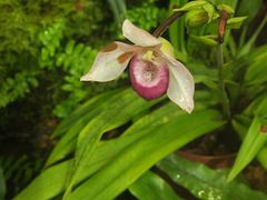 -国家植物园南园