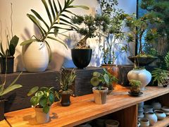 -自由生长植物工作室(深港花卉中心店)