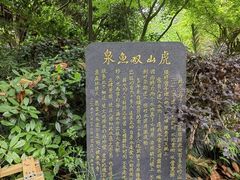 -杭州半山国家森林公园