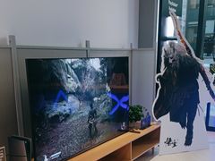 -Sony Store索尼(深圳深业上城店)