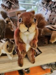 -IMON·HANSA潮玩玩偶毛绒玩具(通州万象汇店)