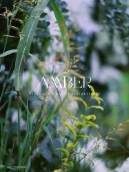 -琥珀婚礼策划AMBER WEDDING