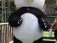 -陶祖圣境风景区