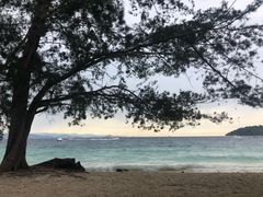 -东姑阿都拉曼海洋公园