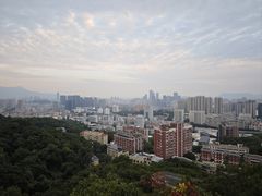 -福道