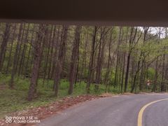 -关门山森林公园