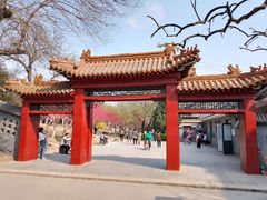-桃花堤公园