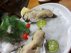 美国泰勒生蚝-必点海鲜·鲅鱼水饺(鞍山西道店)