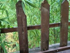 -阳光家常菜游客餐厅(千佛山店)