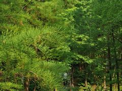 -宜昌富力皇冠假日酒店·咖啡1号西餐厅