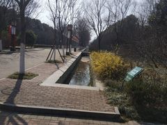 -洛阳市隋唐城遗址植物园