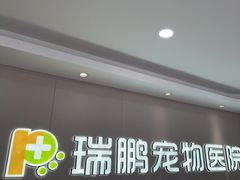 -瑞鹏宠物医院•异宠•宠保定点•流浪定点救助宠物医院(青祁店)
