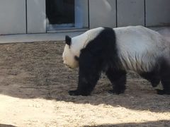 -秦皇岛野生动物园