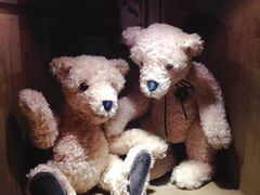 -济州岛泰迪熊博物馆