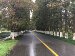 -金岛生态园烧烤露营地