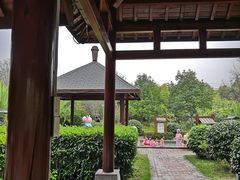 -咸宁万豪温泉谷度假区