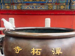 -潭柘寺景区