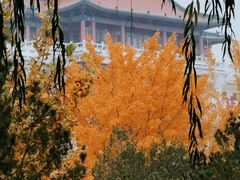 -莲花池公园