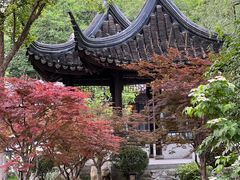 -君庭中餐厅(友谊宾馆店)