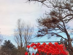 -青龙湖公园