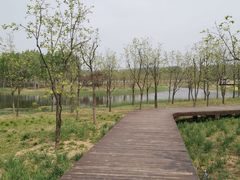 -东郊湿地公园