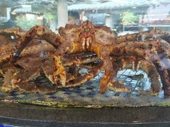 -顺德了能馆(虎门店)