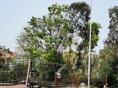 -枫香湖儿童公园