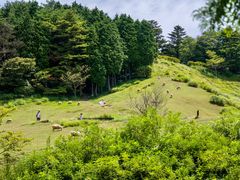 -神户市立六甲山牧场