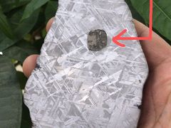 -志强陨石馆(双季花艺店)