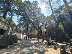 -白鹿洞书院