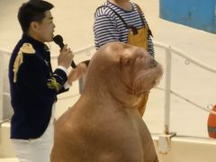 -泉城欧乐堡海洋极地世界