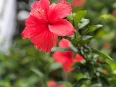 -白沙门生态公园