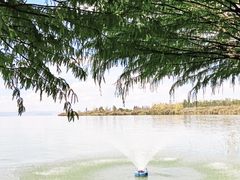 -捞渔河湿地公园