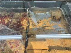 -清真·白记年糕(牛街北口店)