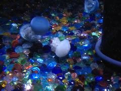 -石林冰雪海洋世界