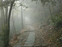 android_upload_pic-西湖风景区十里琅珰-五云山